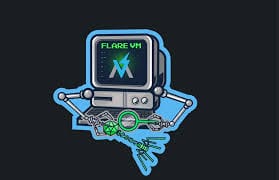 FlareVM Setup